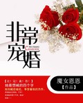 总裁宠婚1314