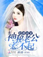 隐婚神秘老公全文免费阅读