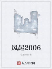 风起2005起点