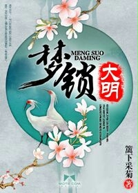 大明梦记1-40集完整