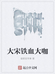 大宋铁血将军