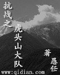 抗日之虎头山大队小说