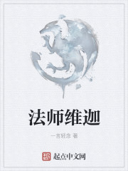 《法师维迦》