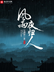 风雨夜归人 许美静