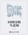 回到汉朝做将军 小说