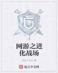 网游:进化