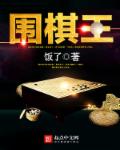 围棋王磊百度