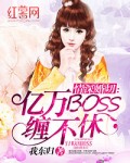 情深婚切:亿万BOSS缠不休