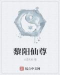 黎阳仙尊 小说