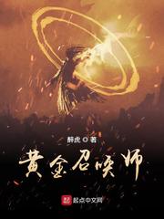 黄金召唤师无错