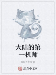 第一机动师总队在哪里