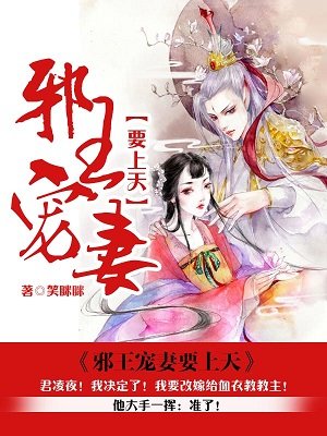 邪王宠妻要上天 王妃