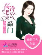 先婚后爱高冷老公来敲门全文免费阅读