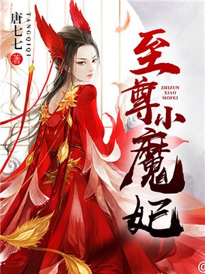 至尊魔婿 小说