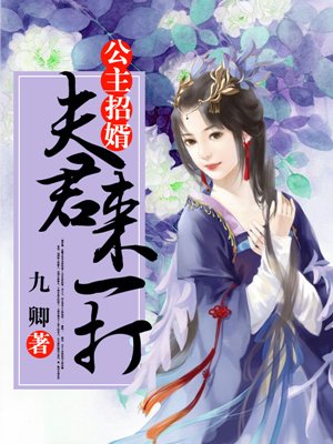 公主招婿,夫君来一打