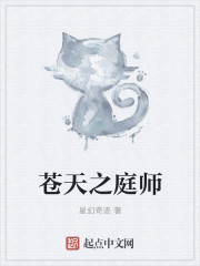 苍天之师小说