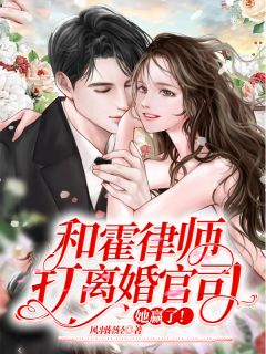 和霍律师打离婚官司她赢了TXT百度云网盘