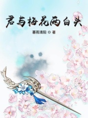 君与梅花两白头