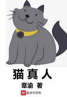 加菲猫真人