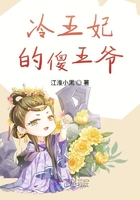 冷情王爷痴傻妃