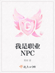 我是职业NPC 小说