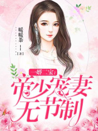 一婚二宝:帝少宠妻无节制