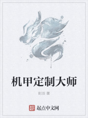 自制机甲大师s1